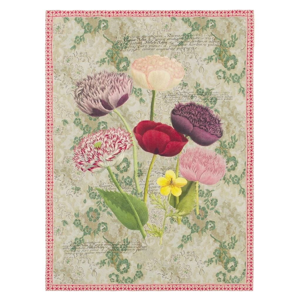 John Derian Poppy Study Violet Throw