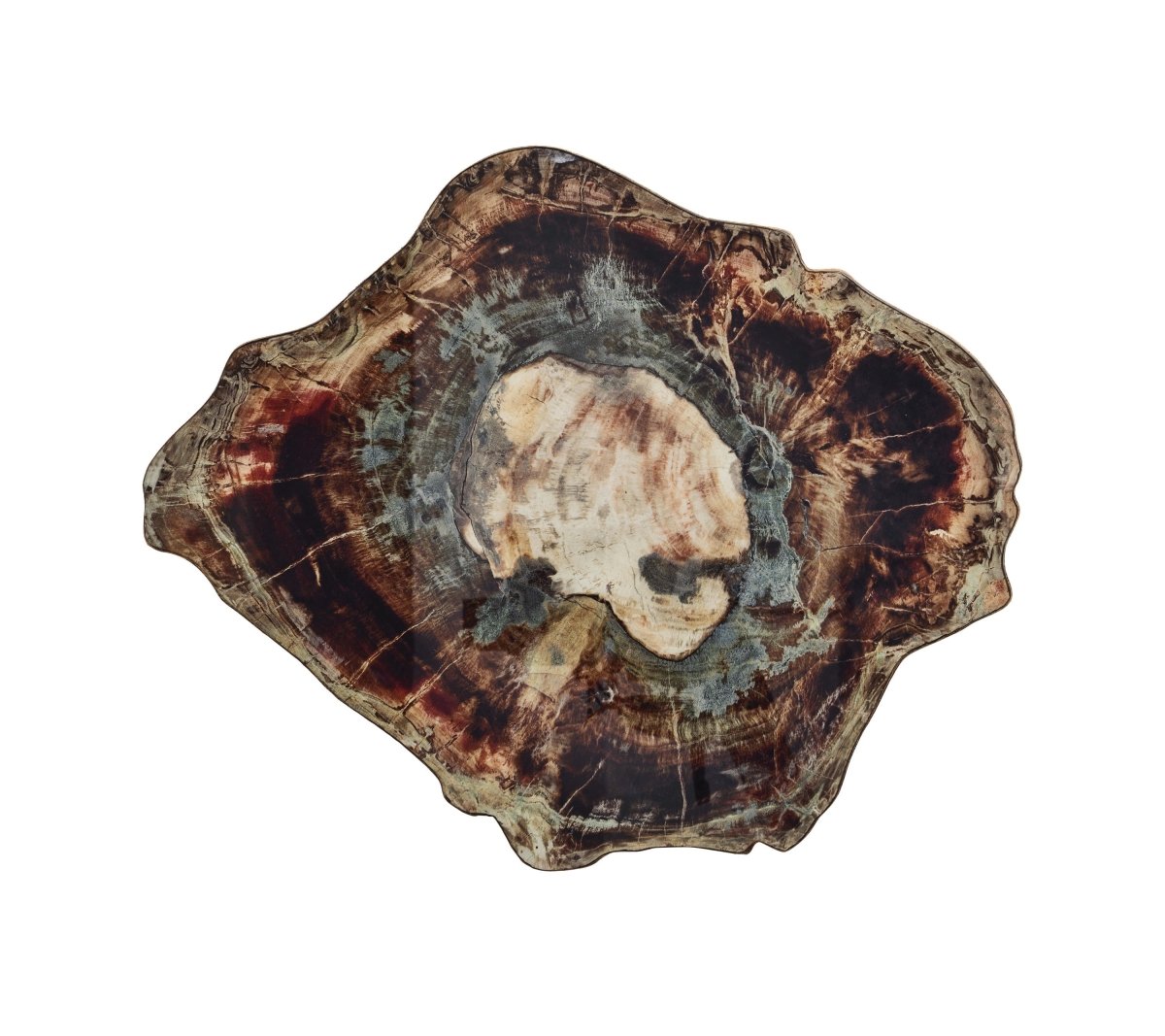 Fossil Placemat in Brown & Multi Set of 4 by Kim Seybert