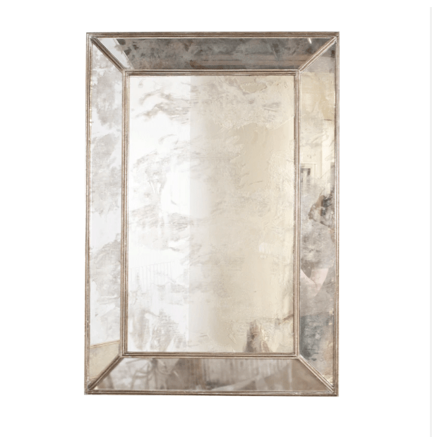 Dion Antique & Silver Leaf Mirror by Worlds Away