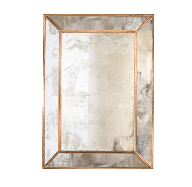 Dion Antique & Gold Leaf Mirror by Worlds Away