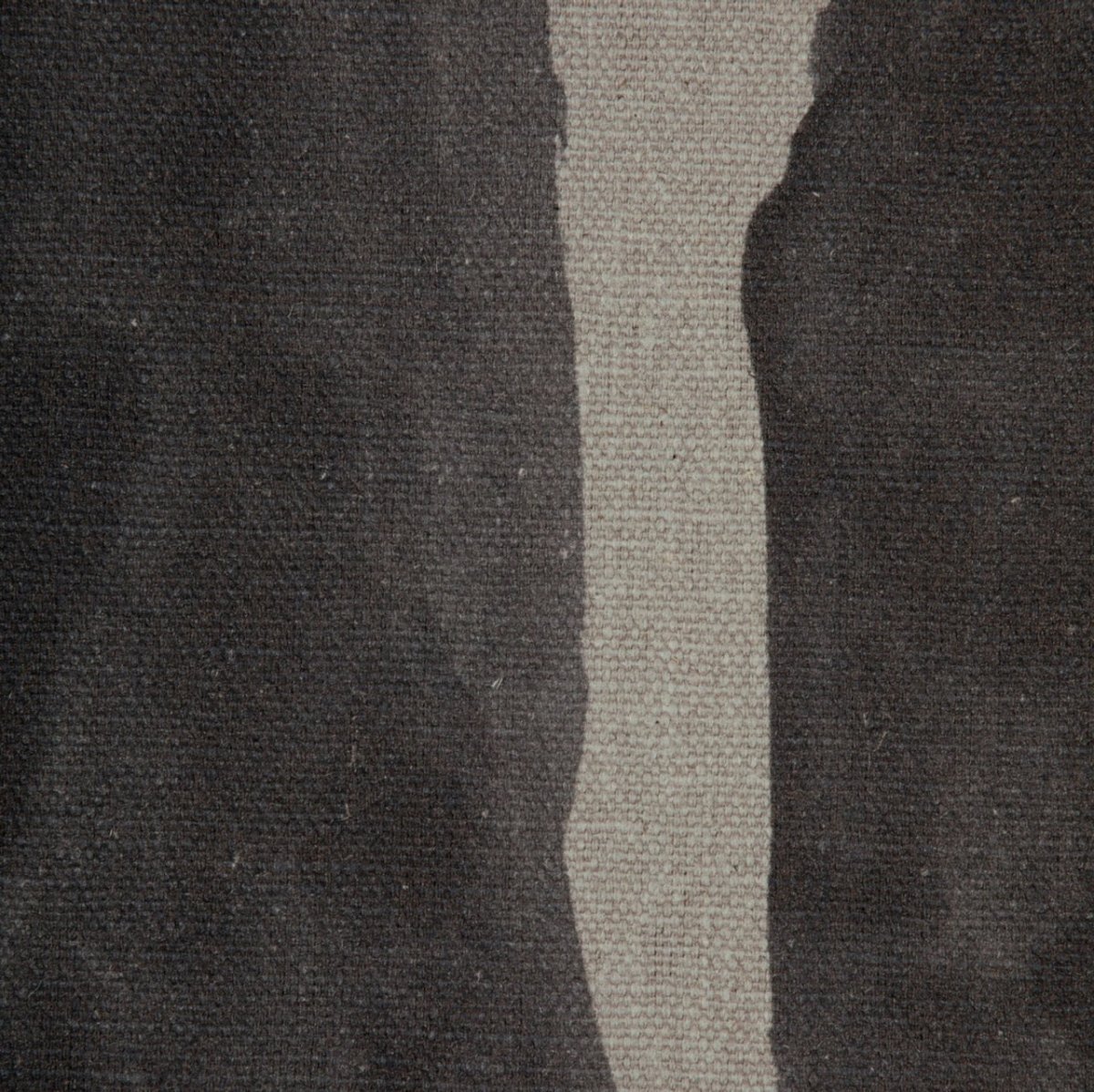 Intargia Raven Decorative Pillow by Ryan Studio