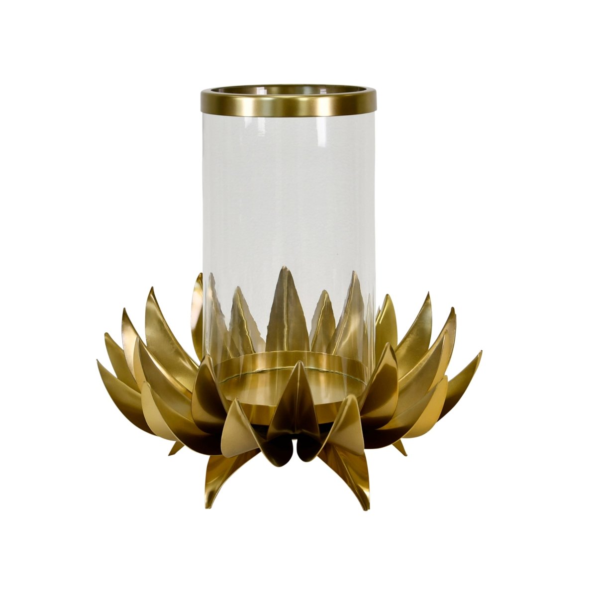 Sirius Large Palm Tree Hurricane by Worlds Away