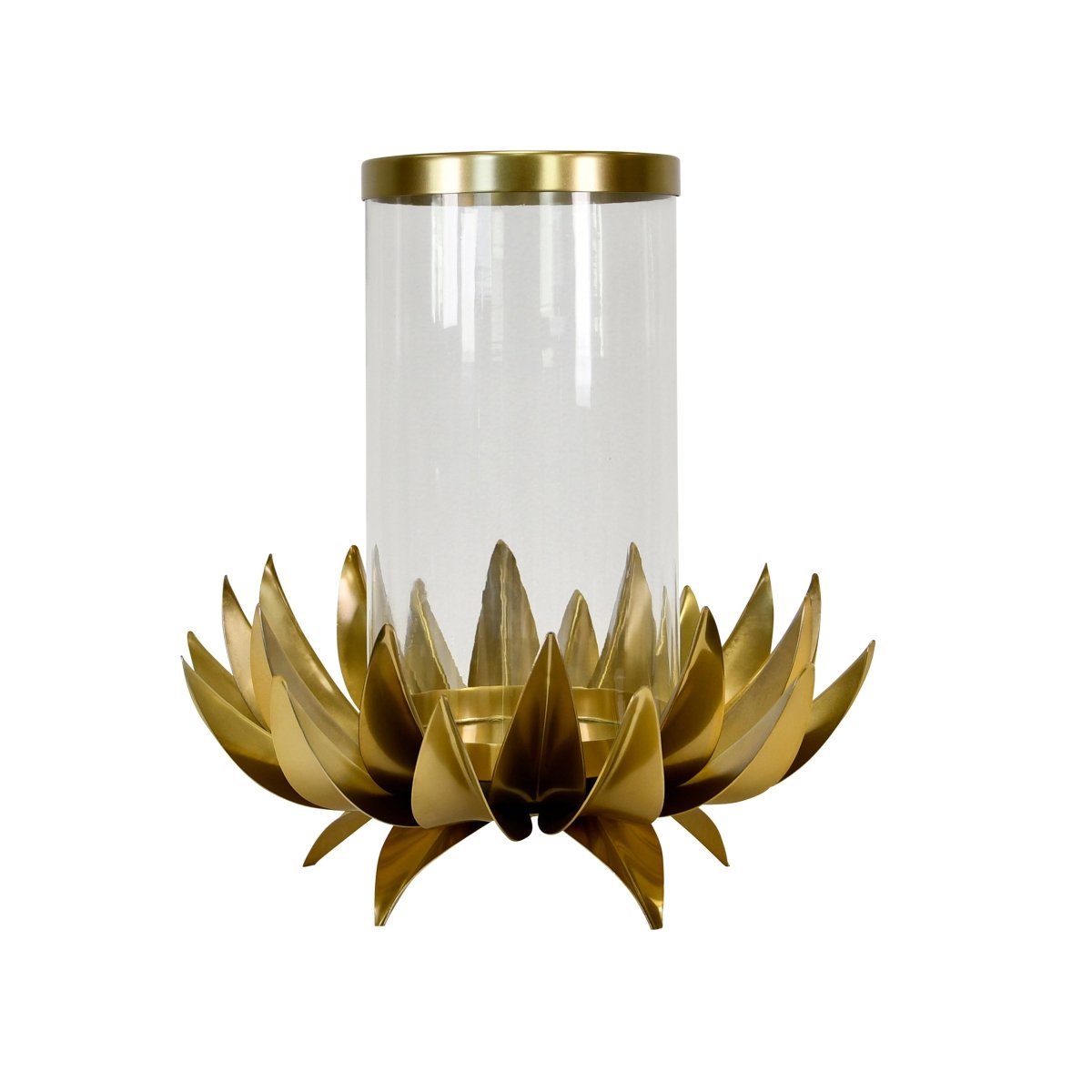 Sirius Large Palm Tree Hurricane by Worlds Away