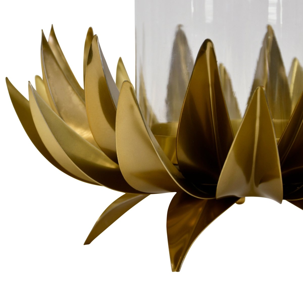 Sirius Large Palm Tree Hurricane by Worlds Away