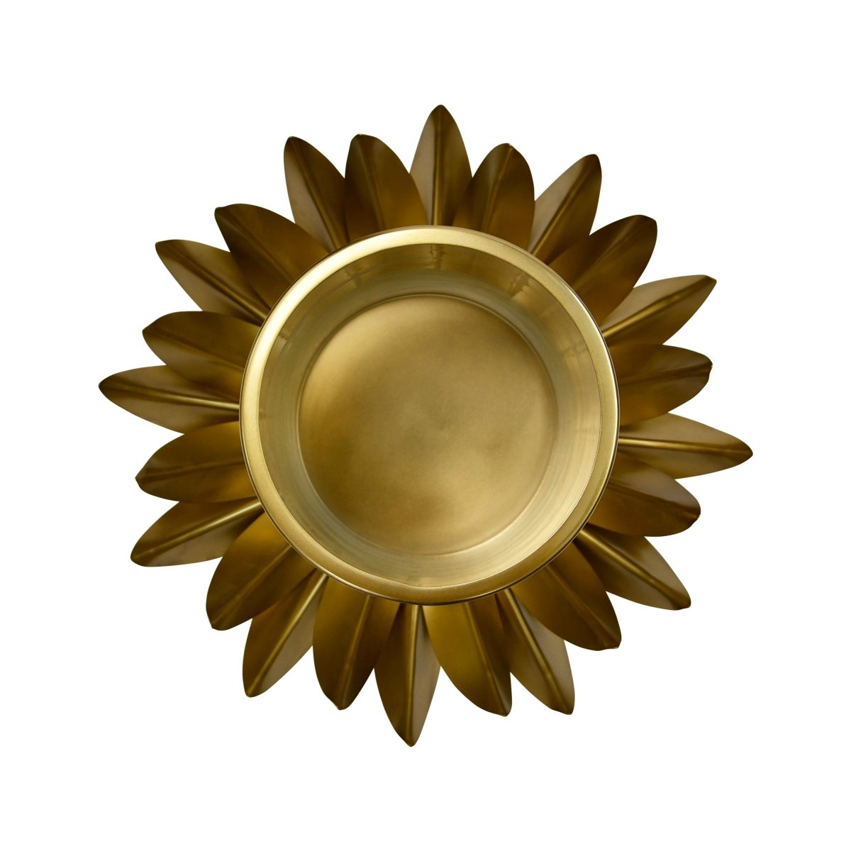 Sirius Small Palm Tree Hurricane by Worlds Away