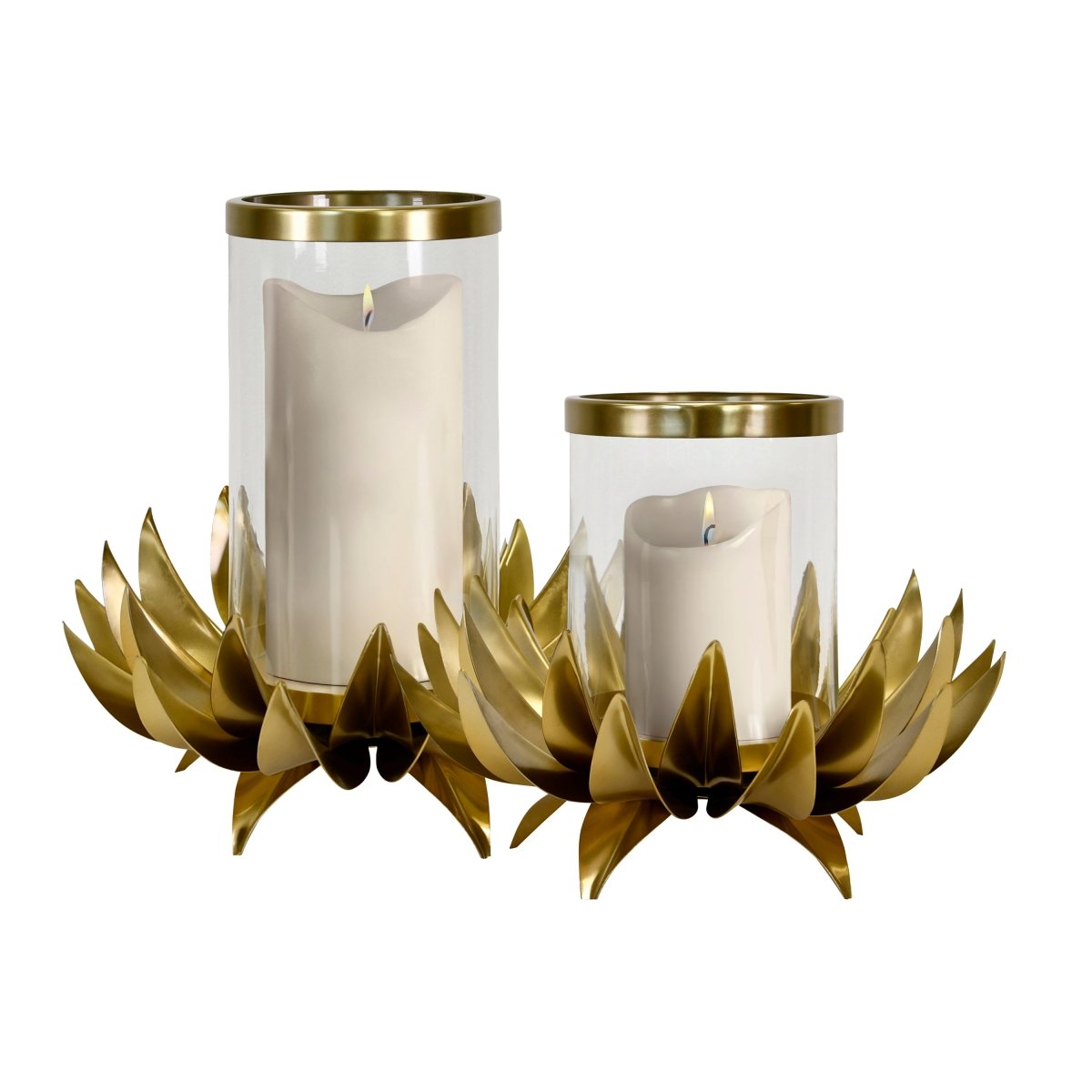 Sirius Small Palm Tree Hurricane by Worlds Away